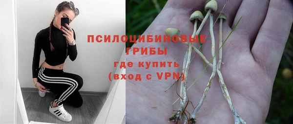 а пвп мука Кукмор