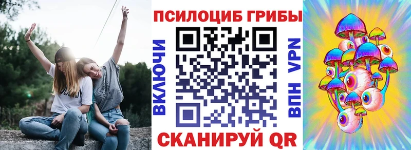 Купить где  Катайск  Псилоцибиновые грибы Cubensis 